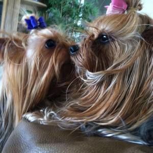 Meet your Posher, Virginia